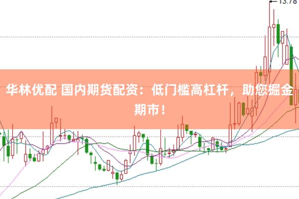 华林优配 国内期货配资：低门槛高杠杆，助您掘金期市！