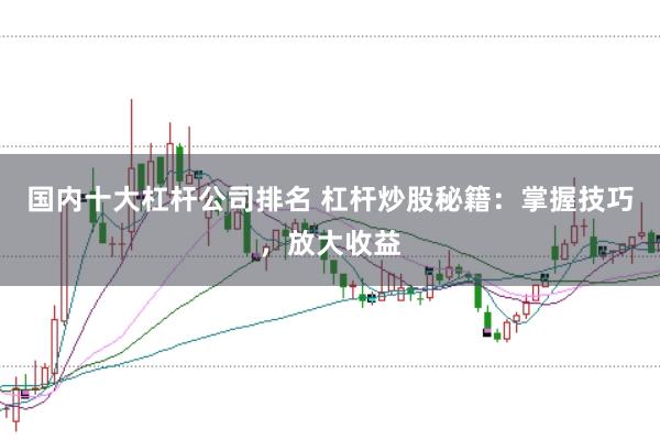 国内十大杠杆公司排名 杠杆炒股秘籍：掌握技巧，放大收益