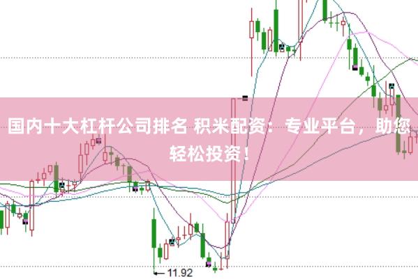 国内十大杠杆公司排名 积米配资：专业平台，助您轻松投资！