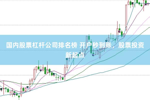 国内股票杠杆公司排名榜 开户秒到账，股票投资新起点