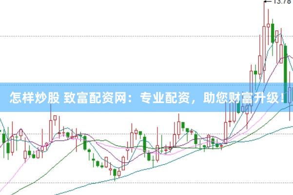 怎样炒股 致富配资网：专业配资，助您财富升级！