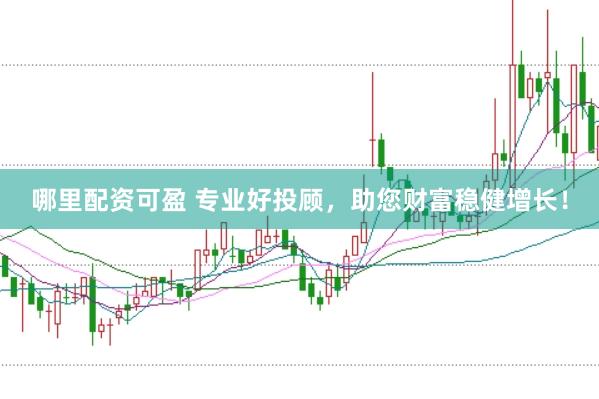 哪里配资可盈 专业好投顾，助您财富稳健增长！