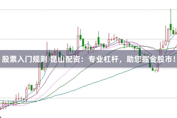 股票入门规则 昆山配资：专业杠杆，助您掘金股市！