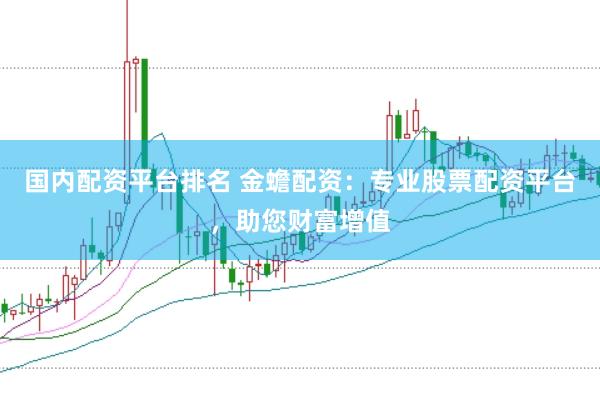 国内配资平台排名 金蟾配资：专业股票配资平台，助您财富增值