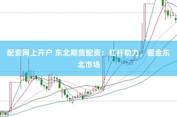 配资网上开户 东北期货配资：杠杆助力，掘金东北市场