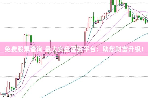 免费股票查询 最大实盘配资平台：助您财富升级！