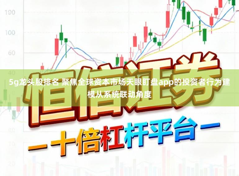 5g龙头股排名 聚焦全球资本市场天眼盯盘app的投资者行为建模从系统联动角度
