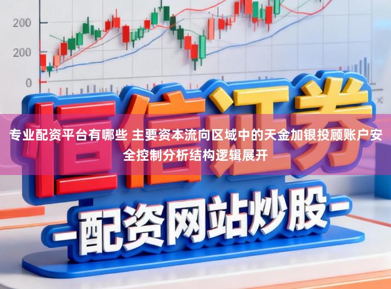 专业配资平台有哪些 主要资本流向区域中的天金加银投顾账户安全控制分析结构逻辑展开