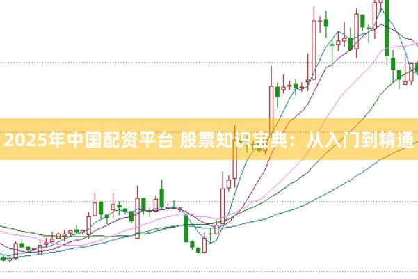 2025年中国配资平台 股票知识宝典：从入门到精通